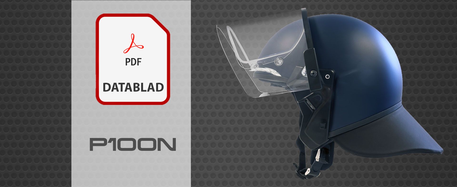 P100N Datasheet button